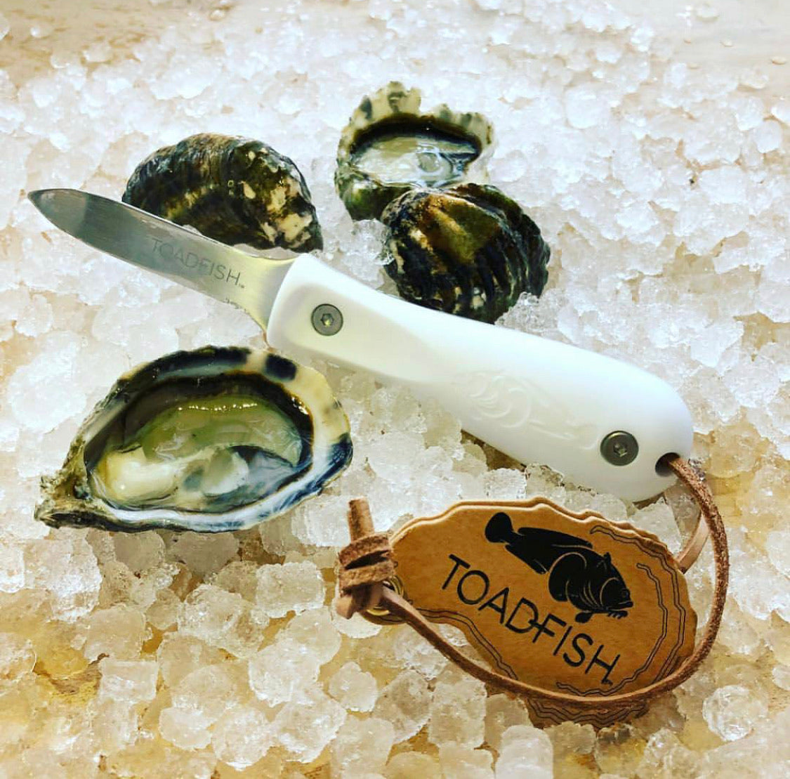Toadfish Professional Edition Oyster Knife